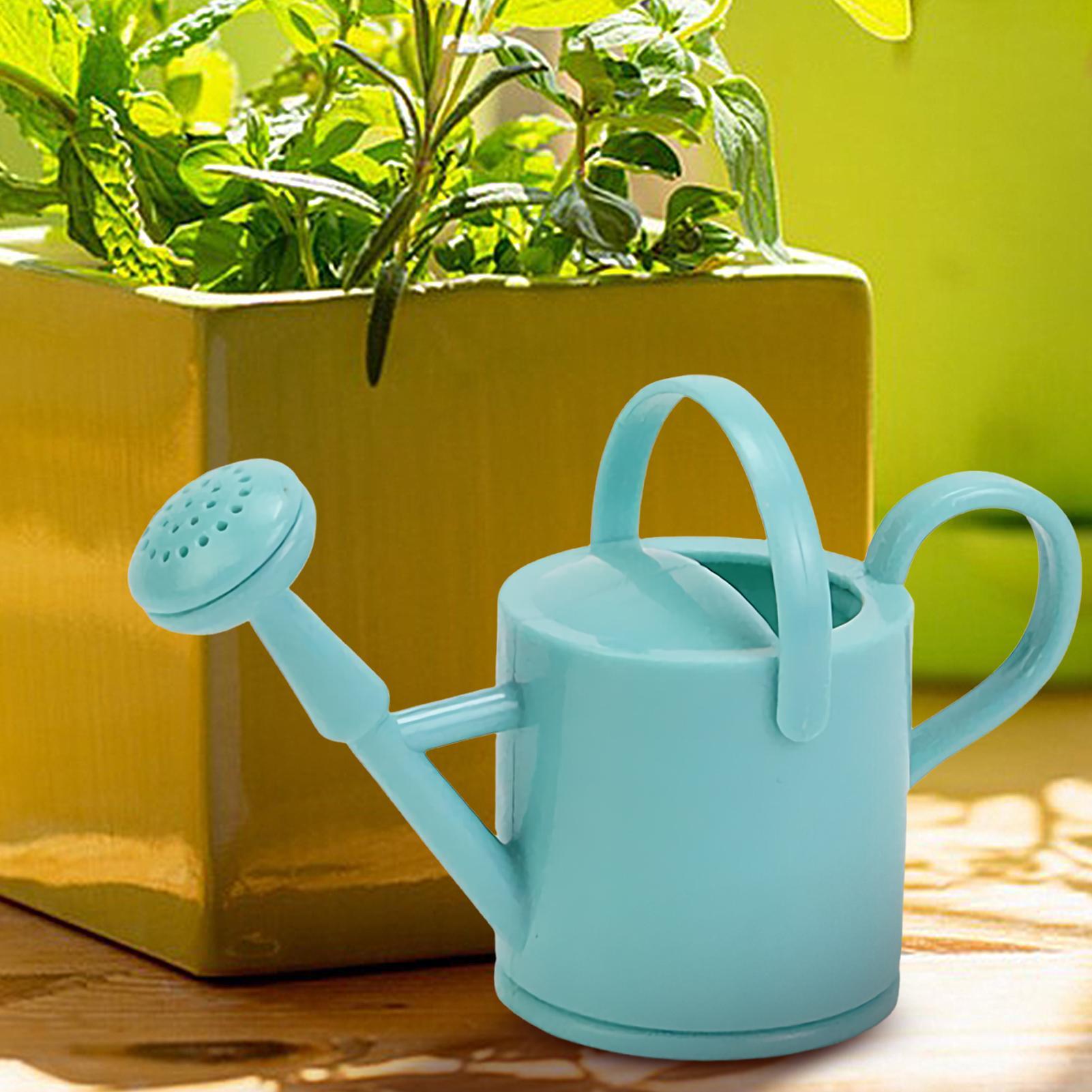 Kaleng Penyiram Taman Anak-ana - Kids Outdoor Garden ulasan dan harga