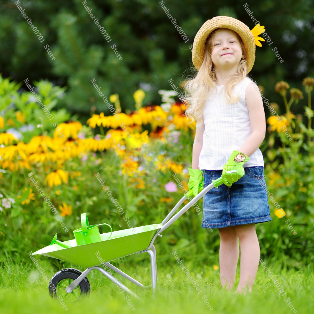 Gerobak Dorong Anak untuk Luar - Kids Outdoor Garden ulasan dan harga